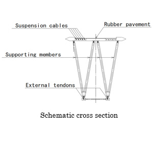 Stress Ribbon Bridges with External Tendons