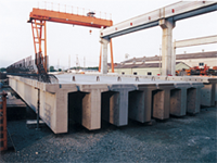 Prestressed Concrete T-Shaped Girders