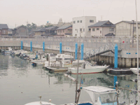 綾羅木マリーナ（山口県）