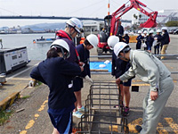 かちどき橋耐震補強工事　現場見学会