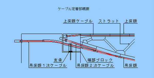 ケーブル定着部概要